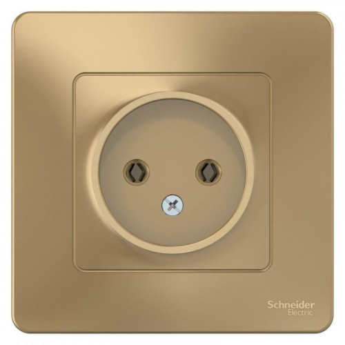 Розетка 2К Systeme Electric Blanca 16A 250V титан BLNRS000014