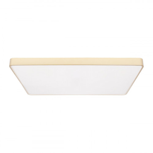 Потолочный светодиодный светильник Loft IT Flims 10228/E