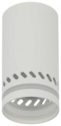 Настенно-потолочный светильник ЭРА OL50 WH Б0059802