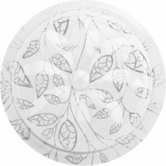 Накладной светильник LEEK LE061208-004