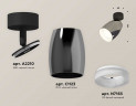 Комплект накладного светильника Ambrella light Techno Spot XM1123006 DCH/SBK/FR черный хром/черный песок/белый матовый (A2210, C1123, N7165)