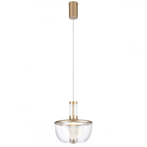 Подвесной светодиодный светильник Favourite Flaska 4313-1P