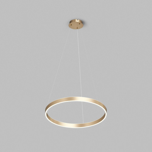 Подвесной светодиодный светильник Denkirs Raydia DK6273-SG