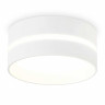 Потолочный светильник Ambrella light Techno Spot IP Protect TN5391