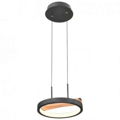 Подвесной светодиодный светильник Velante 450-023-01