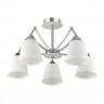 Потолочная люстра Lumion Moderni Hadrinna 3449/5C