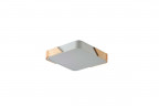 Потолочный светильник Zortes ALBERRO ZRS.01285.60