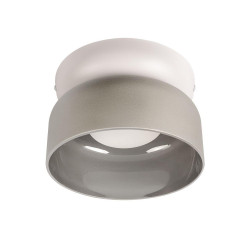 Потолочный светильник Loft IT Totem 10466 Smoke matte