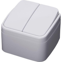 Выключатель 2-клавишный Stekker, PSW10-42-20, открытой установки, 250В, 10А, IP20 Basic, белый 39032