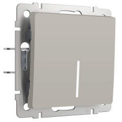 Выключатель одноклавишный проходной с подсветкой (дымчатый) W1212104/ a069450