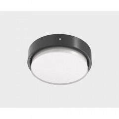 Уличный потолочный светильник Italline IT6026