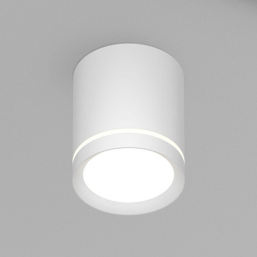 Накладной светодиодный светильник Denkirs Ribe DK4013-WH