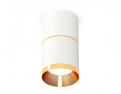 Комплект потолочного светильника Ambrella light Techno Spot XS (C7401, A2072, C7401, N7034) XS7401201