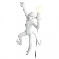 Светильник настенный Aployt Magali APL.309.11.01