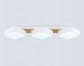 Светильник потолочный Ambrella light COMFORT FL4877