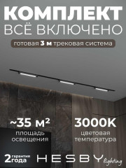 Встраиваемая однофазная трековая система Hesby Lighting Skylite №1 со светильниками HSBL_kompl_S001_VI3B3K