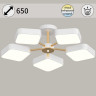 Светильник потолочный Reluce 03360-0.3-05 WH+FGD