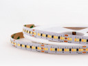 Светодиодная лента LEDS POWER 2835 240/м (24Вт/м) 24В CCT 005829